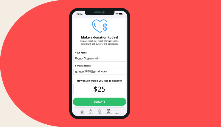Donation and revenue opportunity app preview